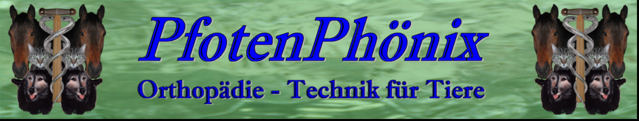 Tierische Orthopädie-Technik